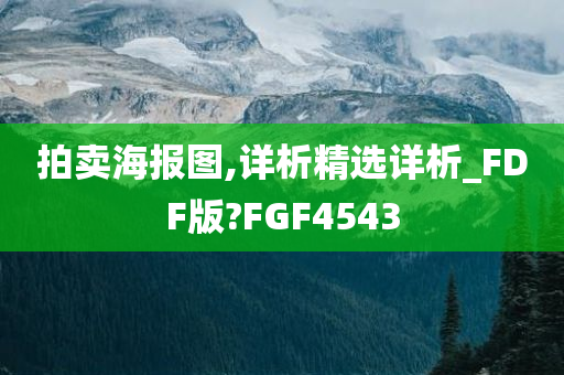 拍卖海报图,详析精选详析_FDF版?FGF4543