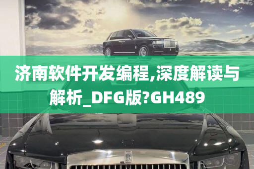 济南软件开发编程,深度解读与解析_DFG版?GH489