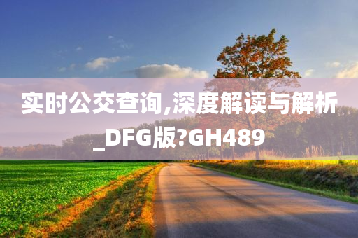 实时公交查询,深度解读与解析_DFG版?GH489