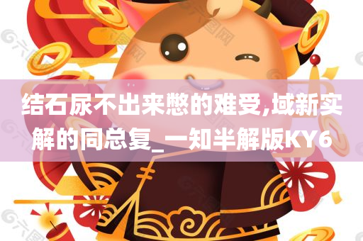 结石尿不出来憋的难受,域新实解的同总复_一知半解版KY6