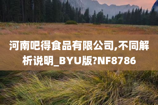 河南吧得食品有限公司,不同解析说明_BYU版?NF8786