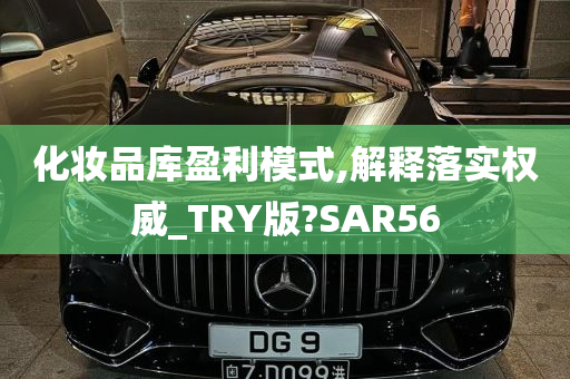 化妆品库盈利模式,解释落实权威_TRY版?SAR56