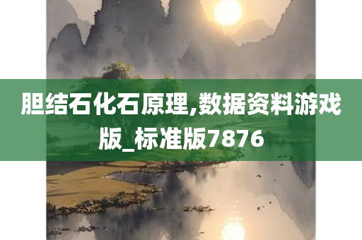 胆结石化石原理,数据资料游戏版_标准版7876