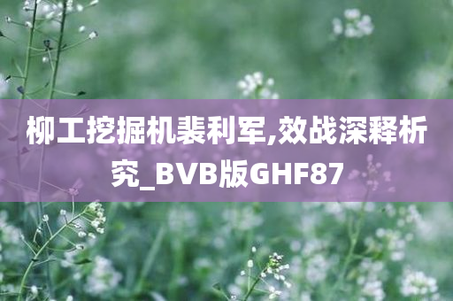 柳工挖掘机裴利军,效战深释析究_BVB版GHF87