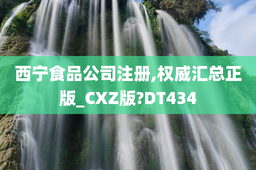 西宁食品公司注册,权威汇总正版_CXZ版?DT434