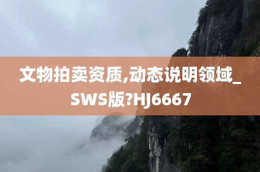 文物拍卖资质,动态说明领域_SWS版?HJ6667