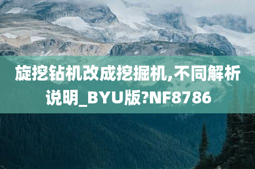 旋挖钻机改成挖掘机,不同解析说明_BYU版?NF8786