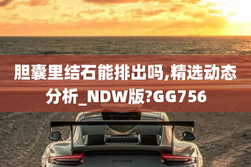 胆囊里结石能排出吗,精选动态分析_NDW版?GG756