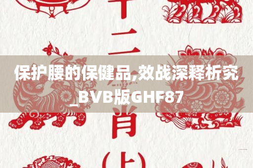 保护腰的保健品,效战深释析究_BVB版GHF87