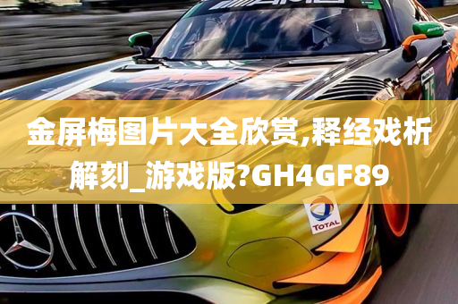 金屏梅图片大全欣赏,释经戏析解刻_游戏版?GH4GF89