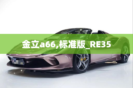 金立a66,标准版_RE35