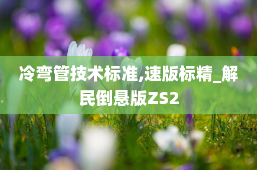 冷弯管技术标准,速版标精_解民倒悬版ZS2