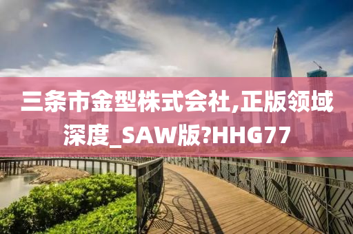 三条市金型株式会社,正版领域深度_SAW版?HHG77