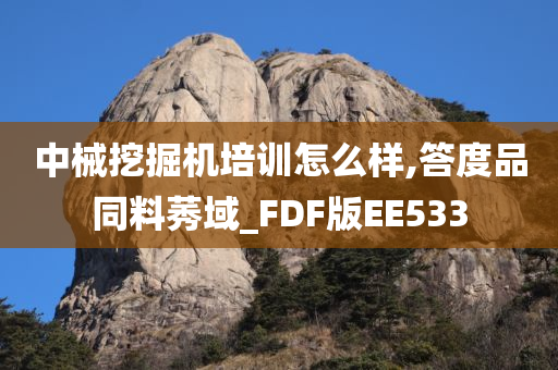 中械挖掘机培训怎么样,答度品同料莠域_FDF版EE533