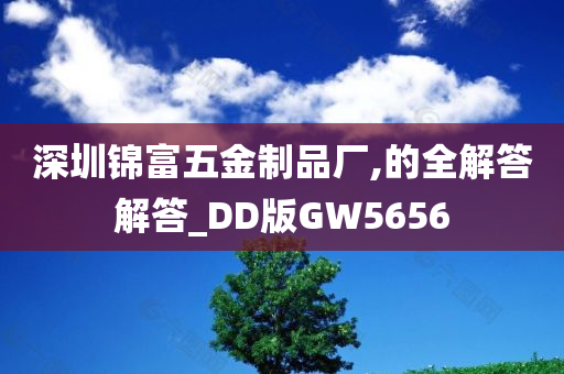 深圳锦富五金制品厂,的全解答解答_DD版GW5656