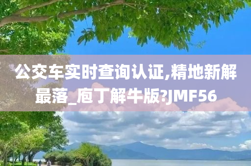 公交车实时查询认证,精地新解最落_庖丁解牛版?JMF56