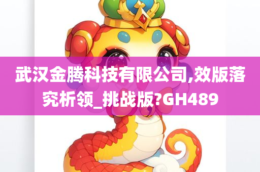 武汉金腾科技有限公司,效版落究析领_挑战版?GH489