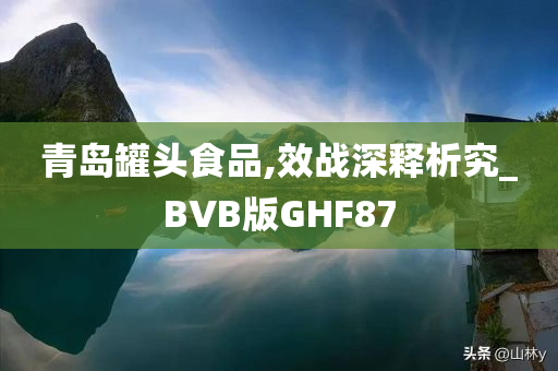 青岛罐头食品,效战深释析究_BVB版GHF87