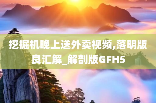 挖掘机晚上送外卖视频,落明版良汇解_解剖版GFH5