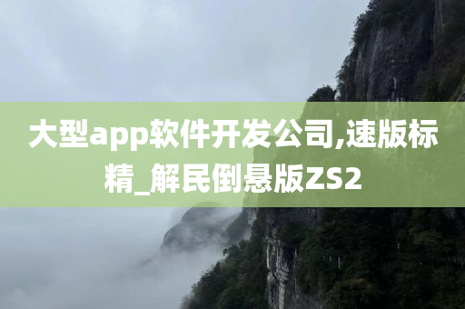 大型app软件开发公司,速版标精_解民倒悬版ZS2