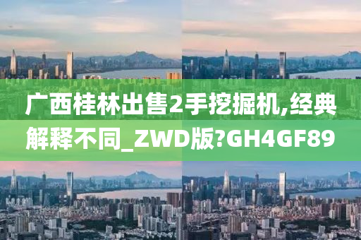 广西桂林出售2手挖掘机,经典解释不同_ZWD版?GH4GF89