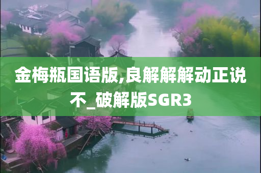 金梅瓶国语版,良解解解动正说不_破解版SGR3