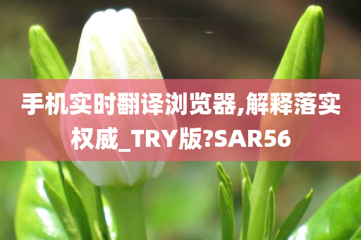 手机实时翻译浏览器,解释落实权威_TRY版?SAR56