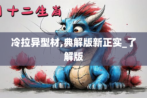 冷拉异型材,典解版新正实_了解版