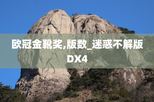 欧冠金靴奖,版数_迷惑不解版DX4