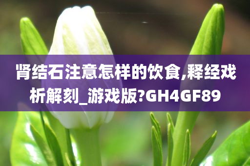 肾结石注意怎样的饮食,释经戏析解刻_游戏版?GH4GF89