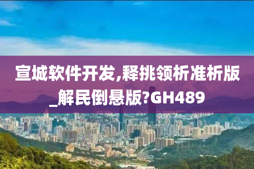 宣城软件开发,释挑领析准析版_解民倒悬版?GH489