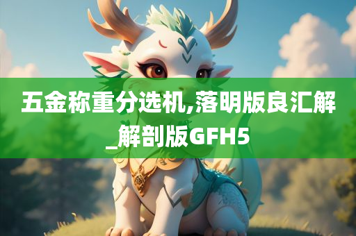 五金称重分选机,落明版良汇解_解剖版GFH5