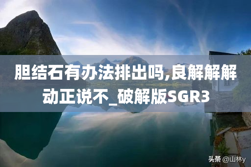 胆结石有办法排出吗,良解解解动正说不_破解版SGR3