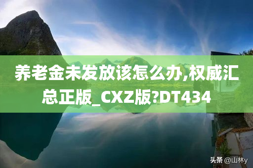 养老金未发放该怎么办,权威汇总正版_CXZ版?DT434