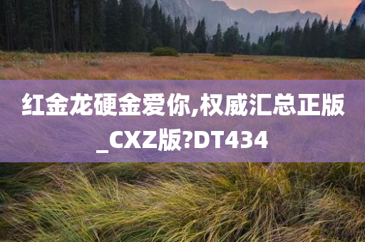 红金龙硬金爱你,权威汇总正版_CXZ版?DT434