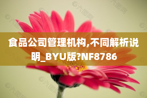 食品公司管理机构,不同解析说明_BYU版?NF8786