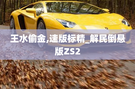 王水偷金,速版标精_解民倒悬版ZS2