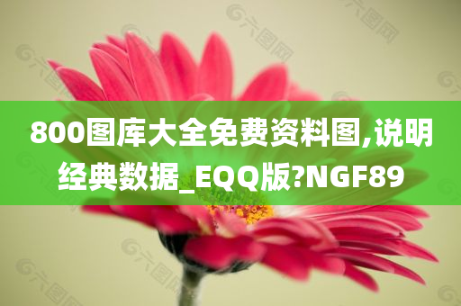 800图库大全免费资料图,说明经典数据_EQQ版?NGF89