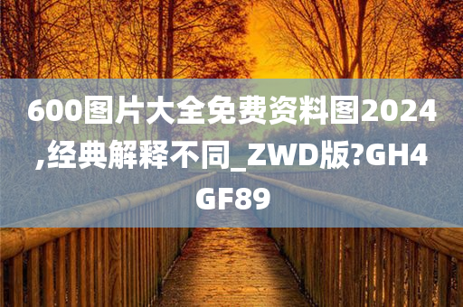 600图片大全免费资料图2024,经典解释不同_ZWD版?GH4GF89