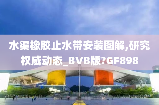 水渠橡胶止水带安装图解,研究权威动态_BVB版?GF898