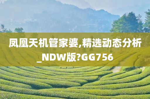 凤凰天机管家婆,精选动态分析_NDW版?GG756