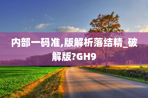 内部一码准,版解析落结精_破解版?GH9