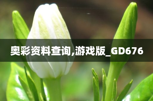 奥彩资料查询,游戏版_GD676