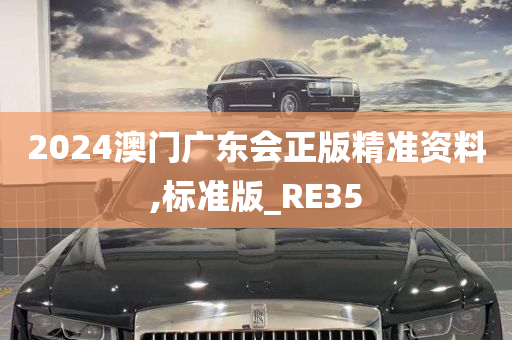 2024澳门广东会正版精准资料,标准版_RE35