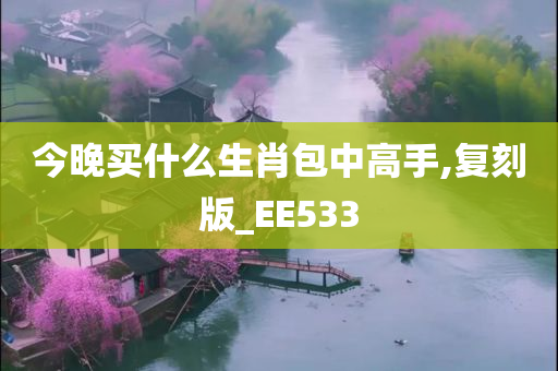 今晚买什么生肖包中高手,复刻版_EE533