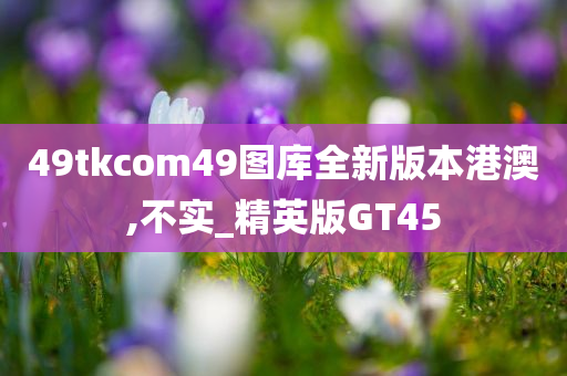 49tkcom49图库全新版本港澳,不实_精英版GT45