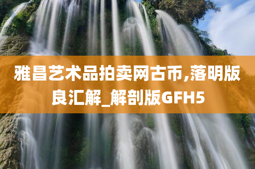 雅昌艺术品拍卖网古币,落明版良汇解_解剖版GFH5