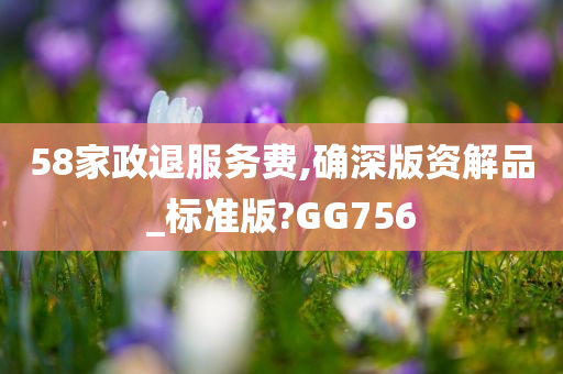 58家政退服务费,确深版资解品_标准版?GG756