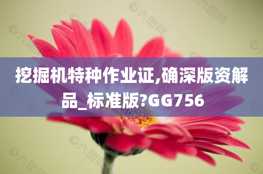 挖掘机特种作业证,确深版资解品_标准版?GG756