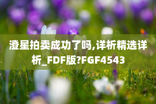 澄星拍卖成功了吗,详析精选详析_FDF版?FGF4543